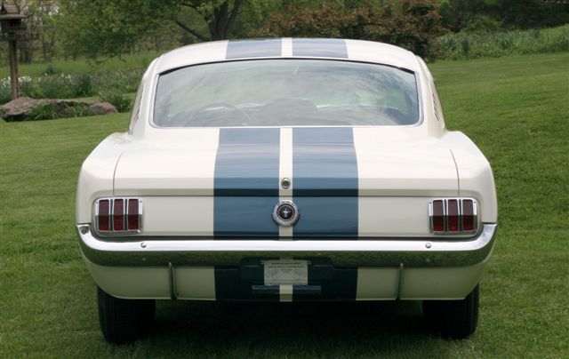 '65 Shelby GT350, rear view